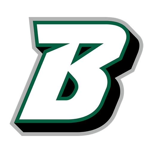Binghamton Bearcats logo