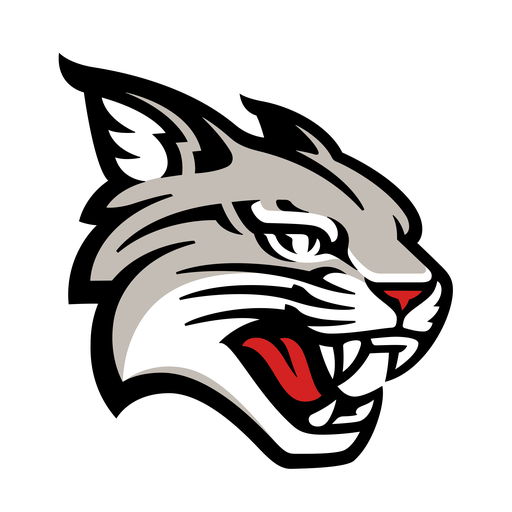 Davidson Wildcats logo