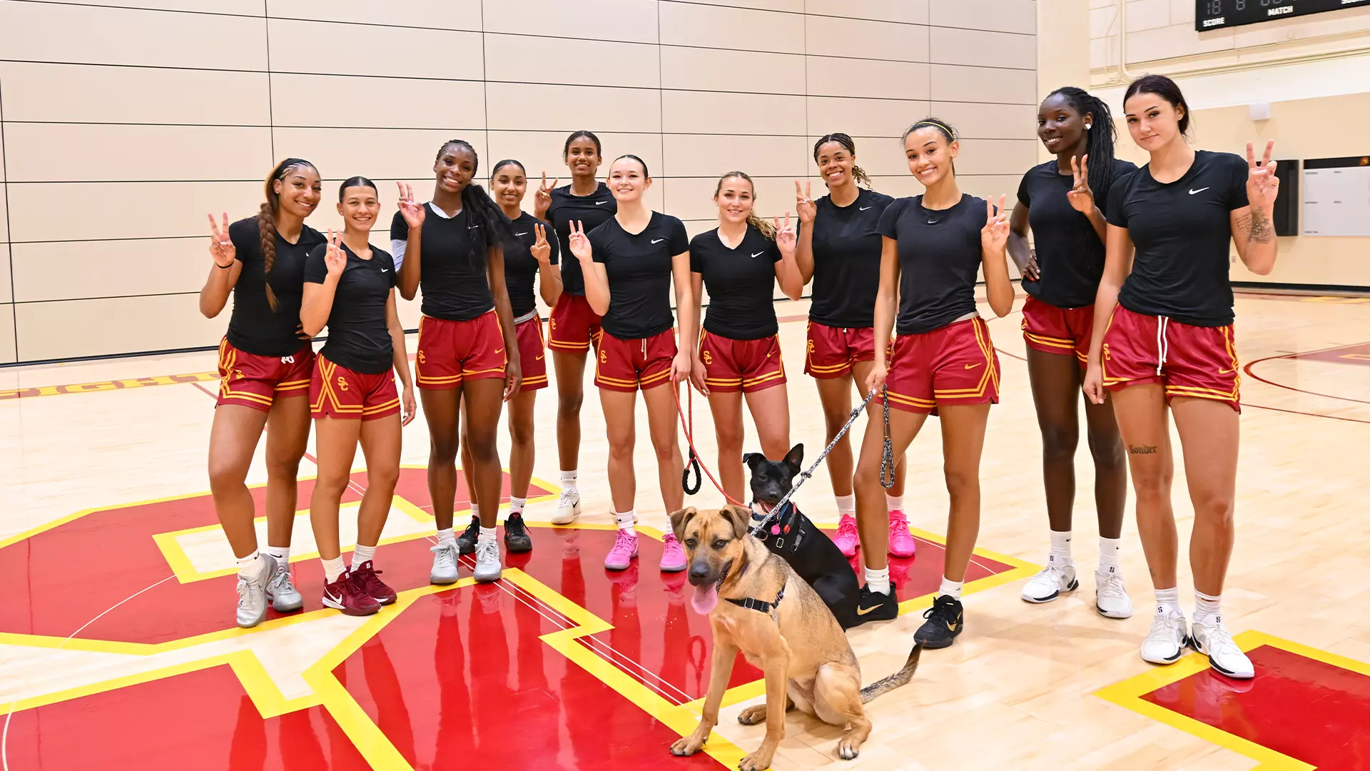 USC Trojans players posing together on the practice court with two team dogs